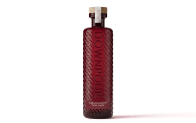 Downpour Sloe & Bramble Gin